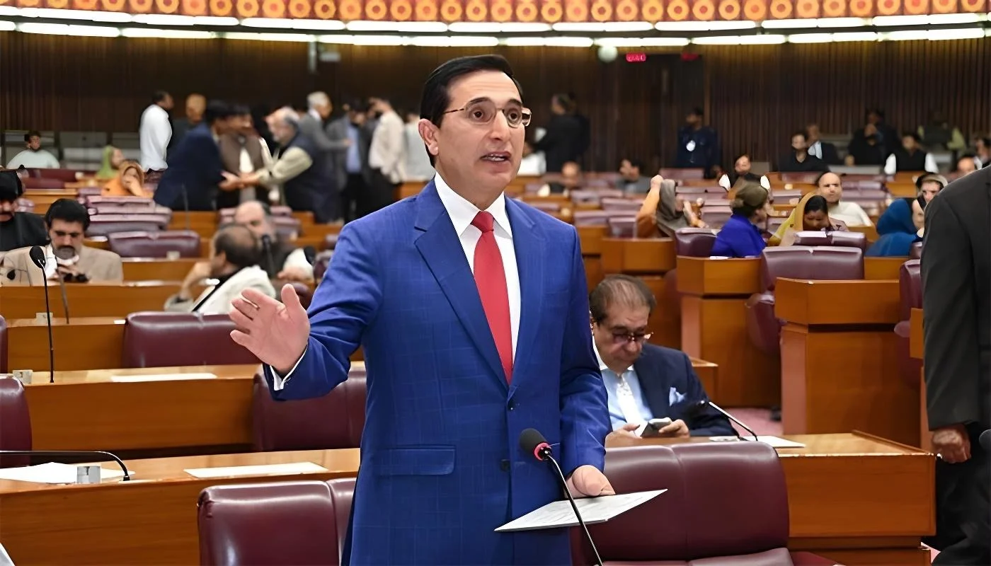 اس بجٹ میں غریب کے لیے کچھ نہیں، بیرسٹر گوہر