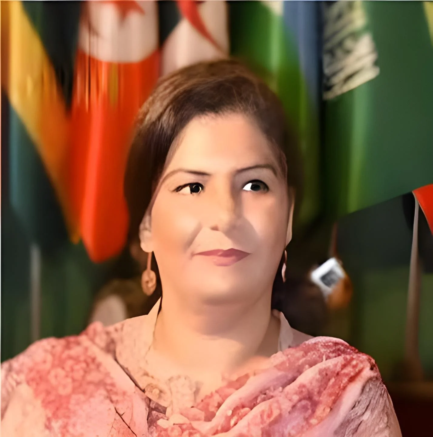 رئیسہ عادل نئی پرنسپل انفارمیشن آفیسر تعینات