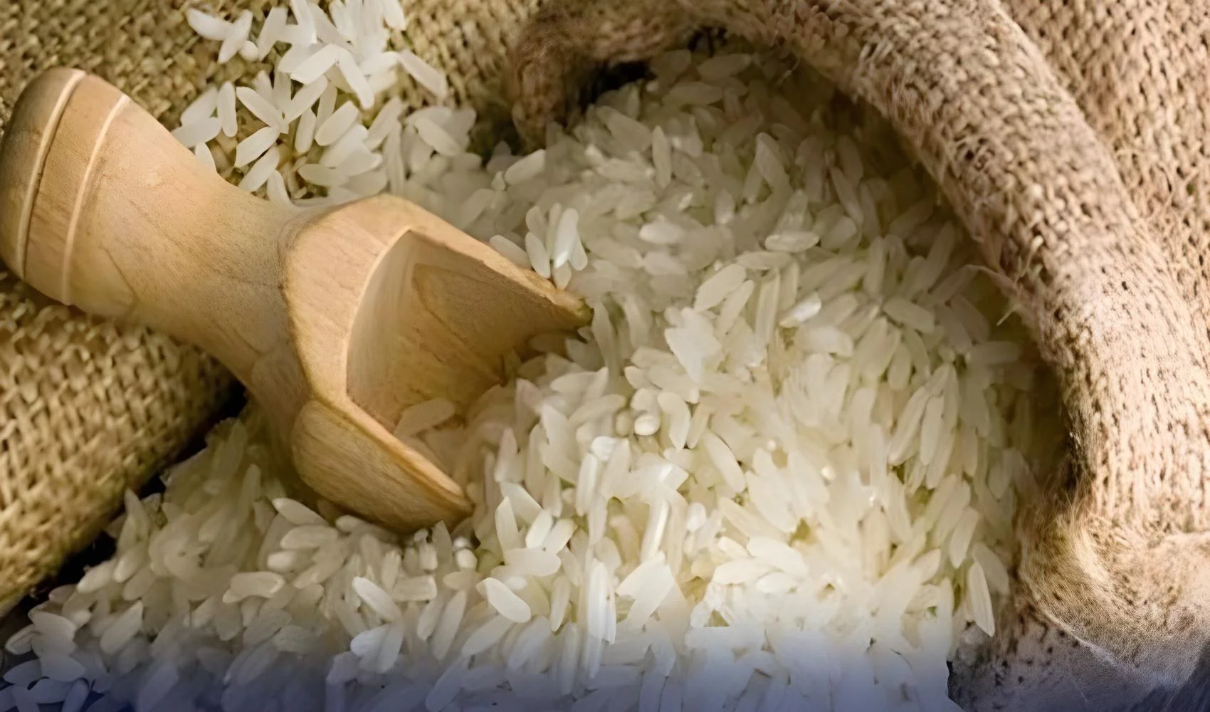 آسٹریلیا، باسمتی کے نام پر بھارت کی اپیل مسترد،اخراجات ادا کرنے کاحکم
