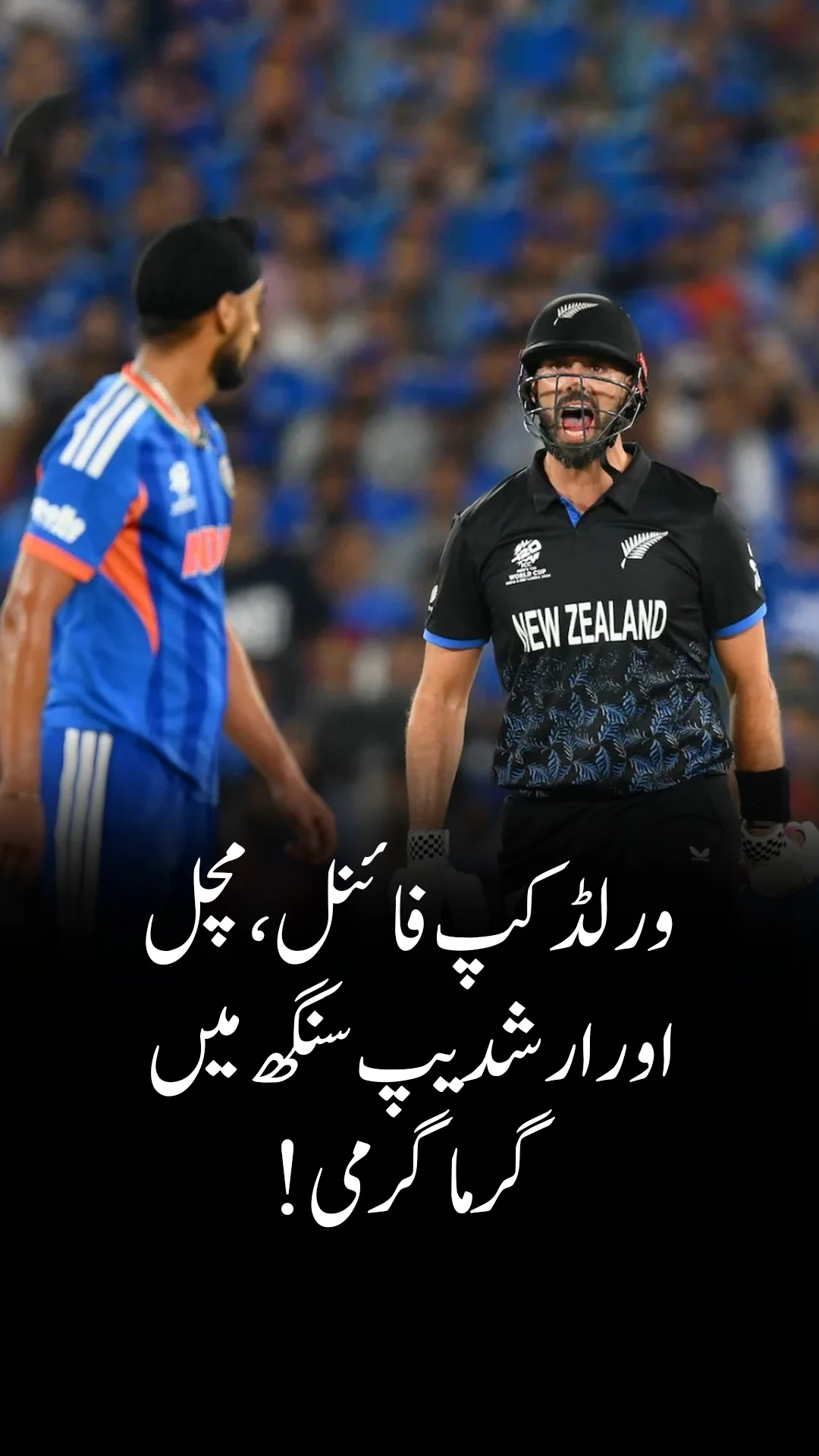 ورلڈ کپ کے فائنل میں گرم لمحہ!